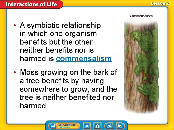  • A symbiotic relationship in which one organism benefits but the other neither