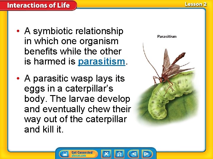 • A symbiotic relationship in which one organism benefits while the other is