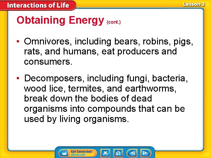 Obtaining Energy (cont. ) • Omnivores, including bears, robins, pigs, rats, and humans, eat