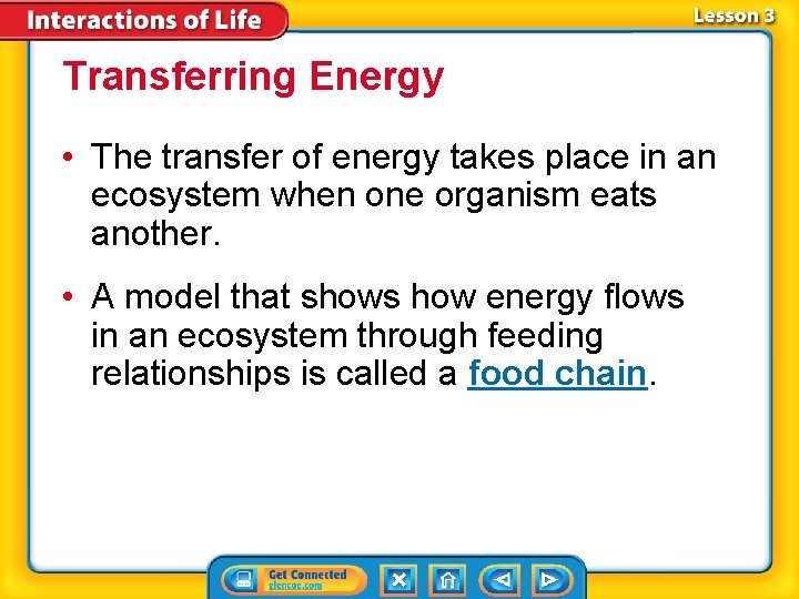 Transferring Energy • The transfer of energy takes place in an ecosystem when one