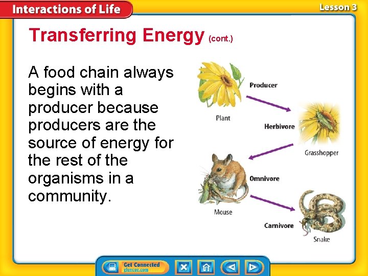 Transferring Energy (cont. ) A food chain always begins with a producer because producers