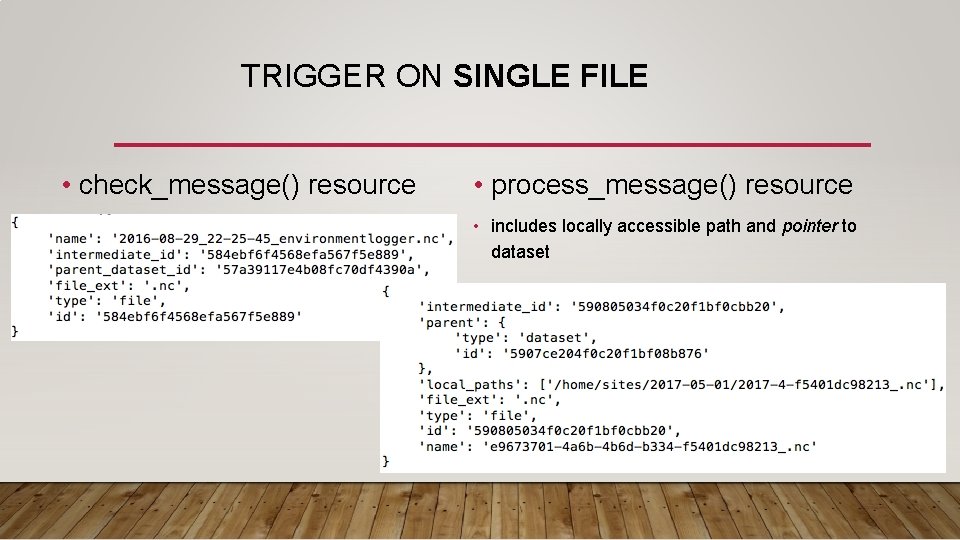 TRIGGER ON SINGLE FILE • check_message() resource • process_message() resource • includes locally accessible