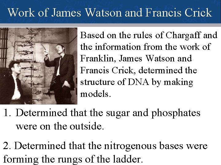 Work of James Watson and Francis Crick Based on the rules of Chargaff and