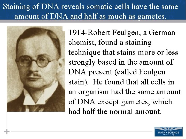 Staining of DNA reveals somatic cells have the same amount of DNA and half