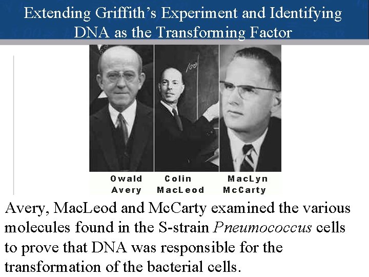 Extending Griffith’s Experiment and Identifying DNA as the Transforming Factor Avery, Mac. Leod and