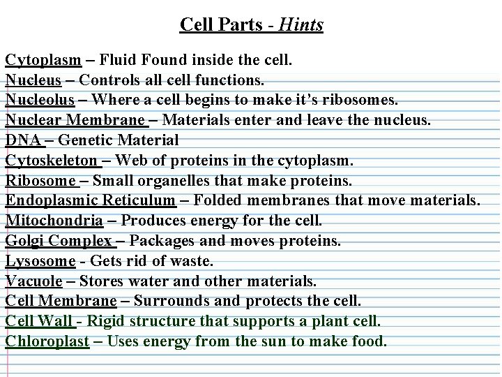 Cell Parts - Hints Cytoplasm – Fluid Found inside the cell. Nucleus – Controls