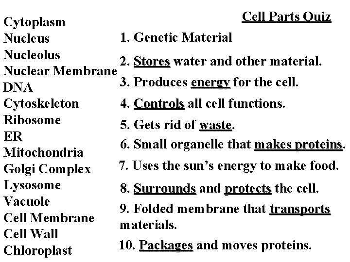 Cell Parts Quiz Cytoplasm 1. Genetic Material Nucleus Nucleolus 2. Stores water and other