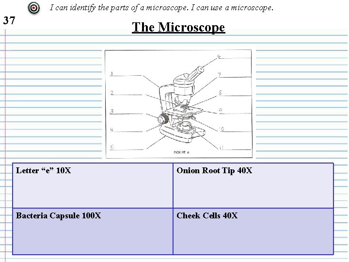 I can identify the parts of a microscope. I can use a microscope. 37