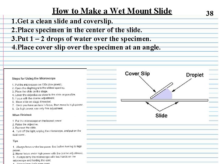 How to Make a Wet Mount Slide 1. Get a clean slide and coverslip.