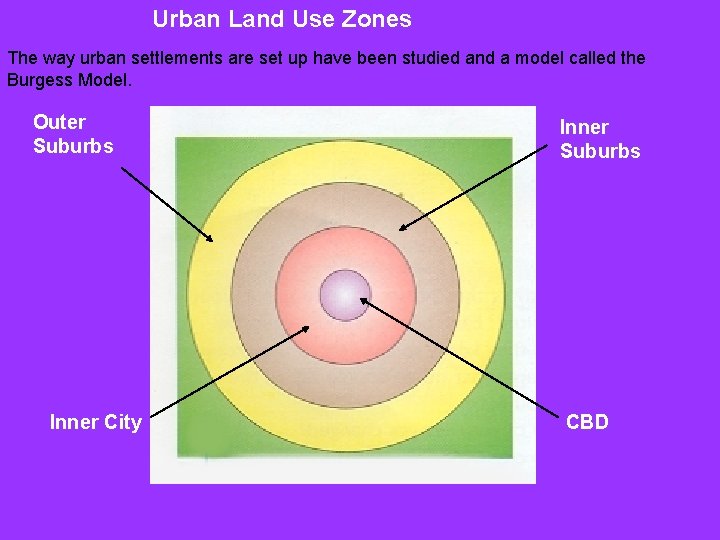 Urban Land Use Zones The way urban settlements are set up have been studied Urban Land Use Zones The way urban settlements are set up have been studied