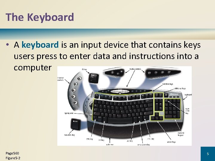 The Keyboard • A keyboard is an input device that contains keys users press