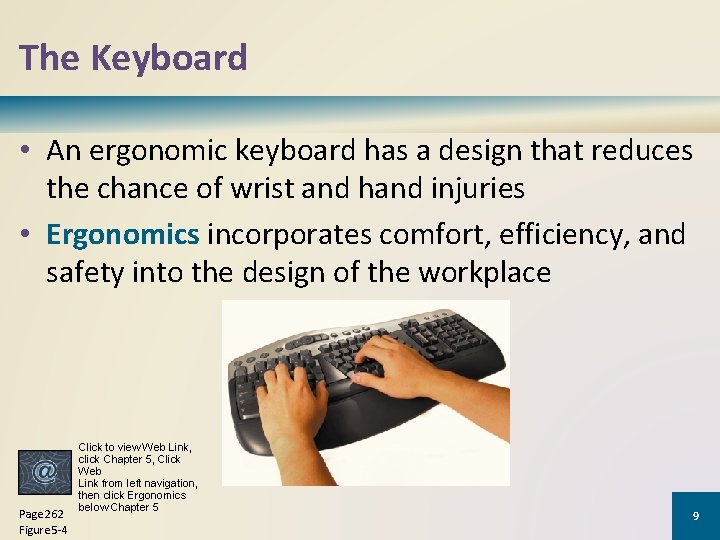 The Keyboard • An ergonomic keyboard has a design that reduces the chance of