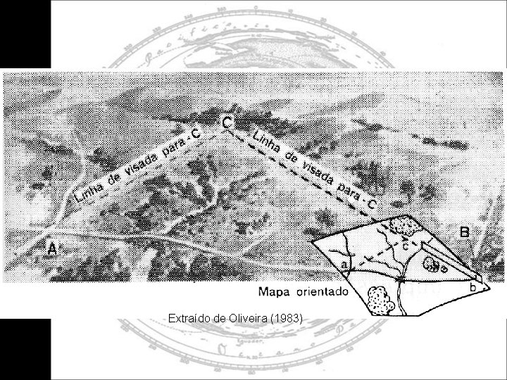 Extraído de Oliveira (1983) 