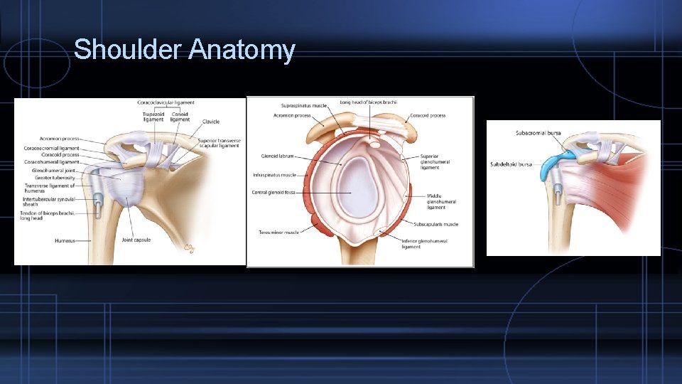 PERIPHERAL JOINTS PATHOLOGY AND TREATMENT Benjamin Bonte MD