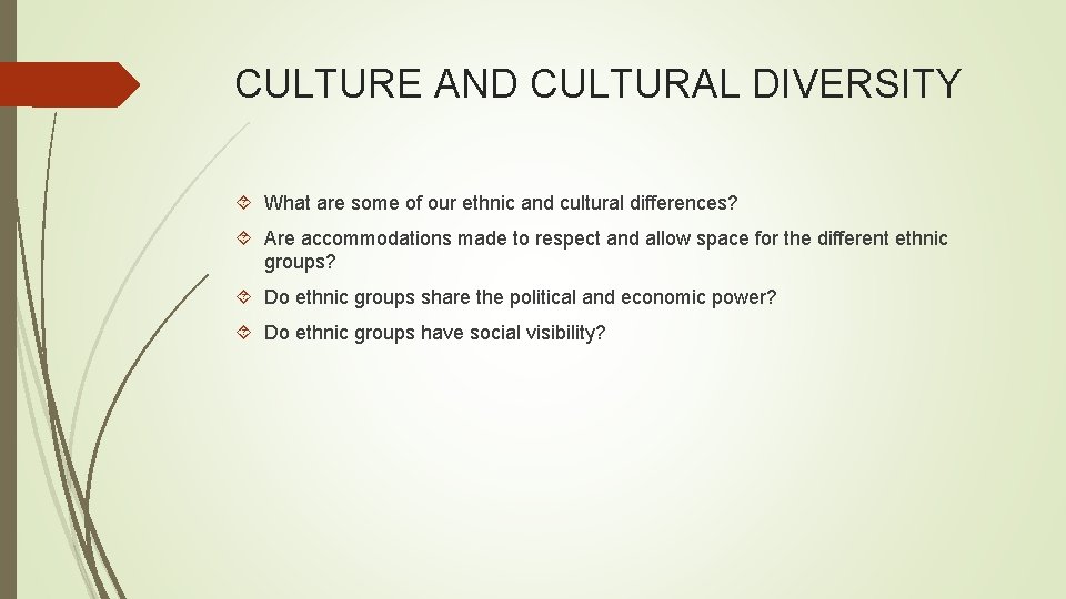CULTURE AND CULTURAL DIVERSITY What are some of our ethnic and cultural differences? Are