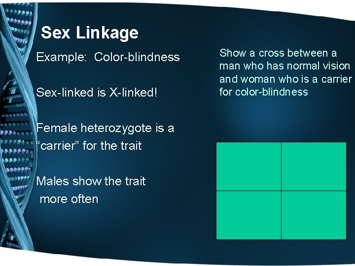 Sex Linkage Example: Color-blindness Sex-linked is X-linked! Female heterozygote is a “carrier” for the