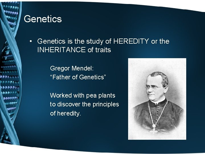 Genetics • Genetics is the study of HEREDITY or the INHERITANCE of traits Gregor