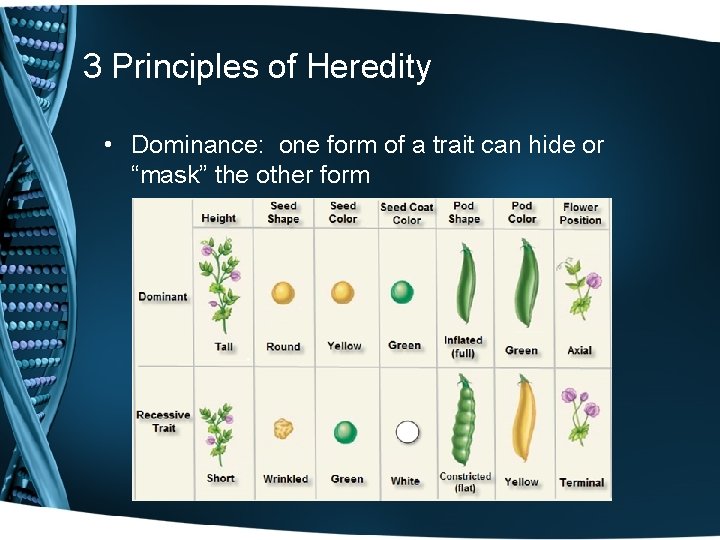 3 Principles of Heredity • Dominance: one form of a trait can hide or