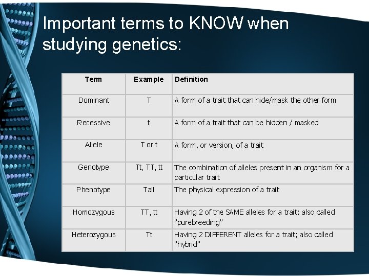 Important terms to KNOW when studying genetics: Term Example Definition Dominant T A form