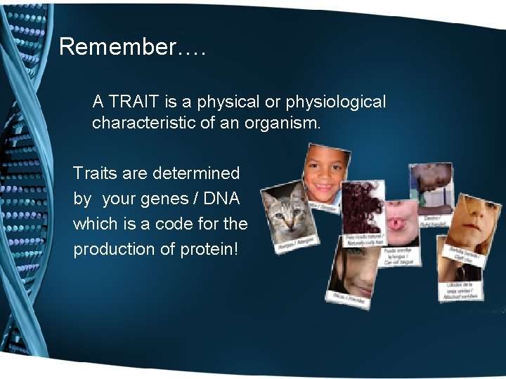 Remember…. A TRAIT is a physical or physiological characteristic of an organism. Traits are