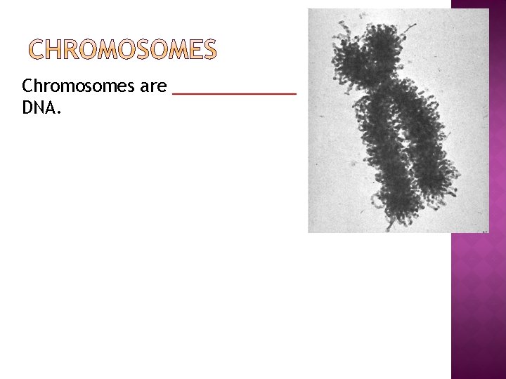 Chromosomes are _______ DNA. 