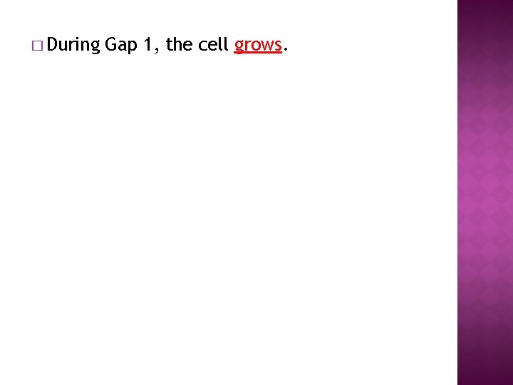 � During Gap 1, the cell grows. 