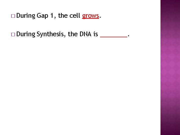 � During Gap 1, the cell grows. � During Synthesis, the DNA is ____.