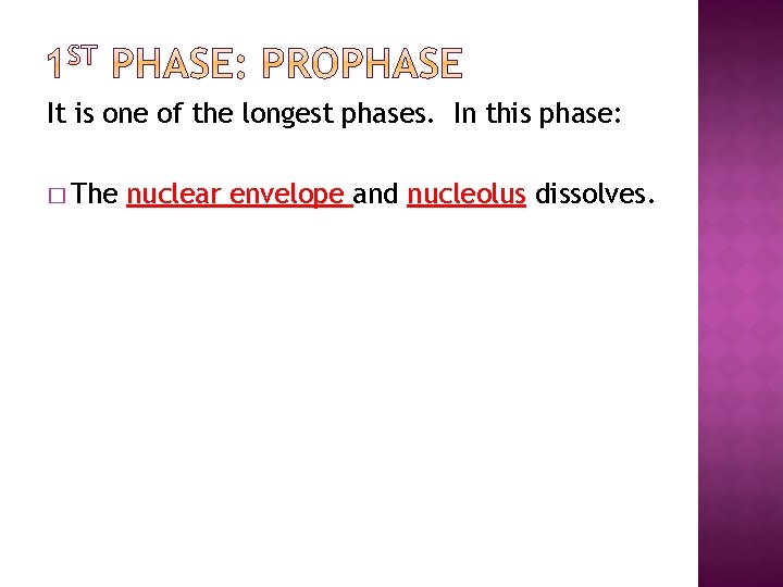 It is one of the longest phases. In this phase: � The nuclear envelope
