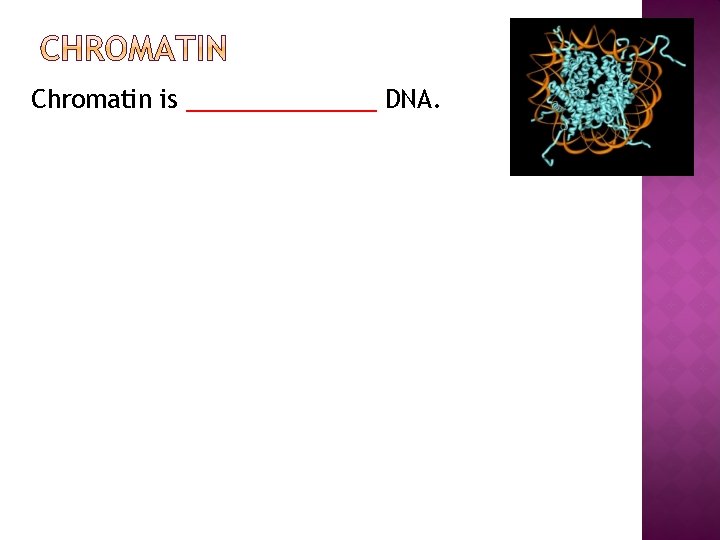 Chromatin is _______ DNA. 