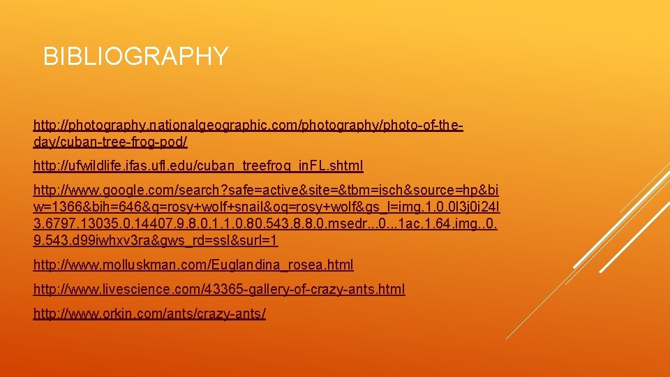 BIBLIOGRAPHY http: //photography. nationalgeographic. com/photography/photo-of-theday/cuban-tree-frog-pod/ http: //ufwildlife. ifas. ufl. edu/cuban_treefrog_in. FL. shtml http: //www.