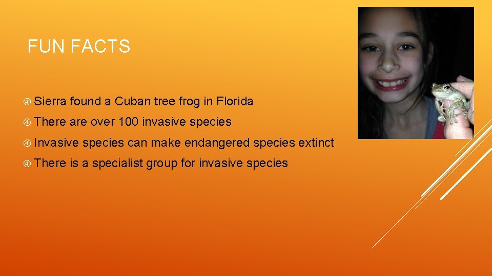 FUN FACTS Sierra found a Cuban tree frog in Florida There are over 100