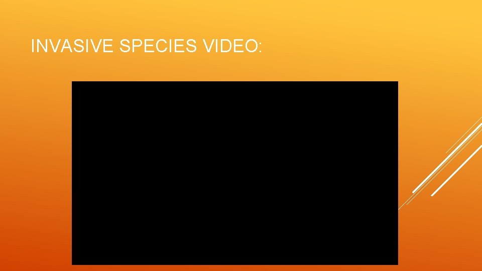 INVASIVE SPECIES VIDEO: 