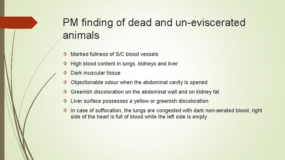 PM finding of dead and un-eviscerated animals Marked fullness of S/C blood vessels High