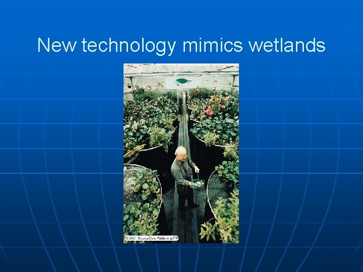 New technology mimics wetlands 