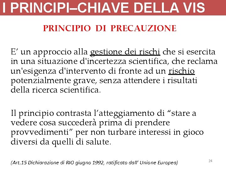 I PRINCIPI–CHIAVE DELLA VIS PRINCIPIO DI PRECAUZIONE E’ un approccio alla gestione dei rischi