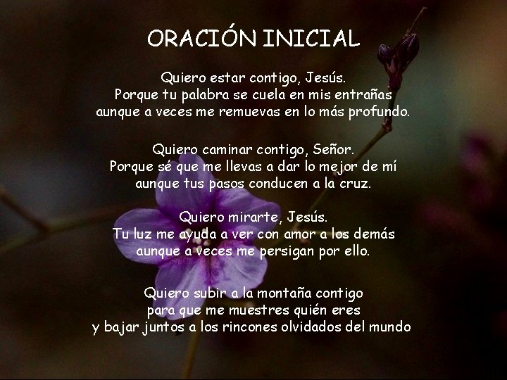 ORACIÓN INICIAL Quiero estar contigo, Jesús. Porque tu palabra se cuela en mis entrañas