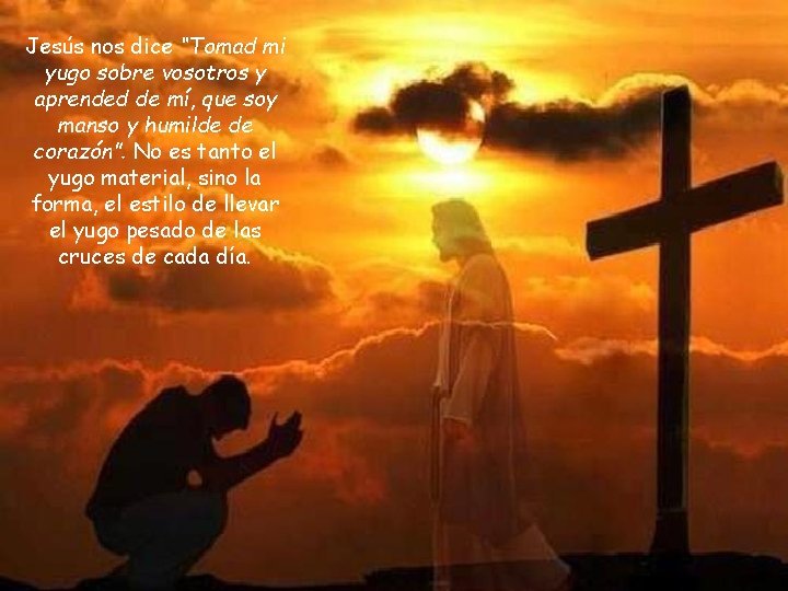 Jesús nos dice “Tomad mi yugo sobre vosotros y aprended de mí, que soy