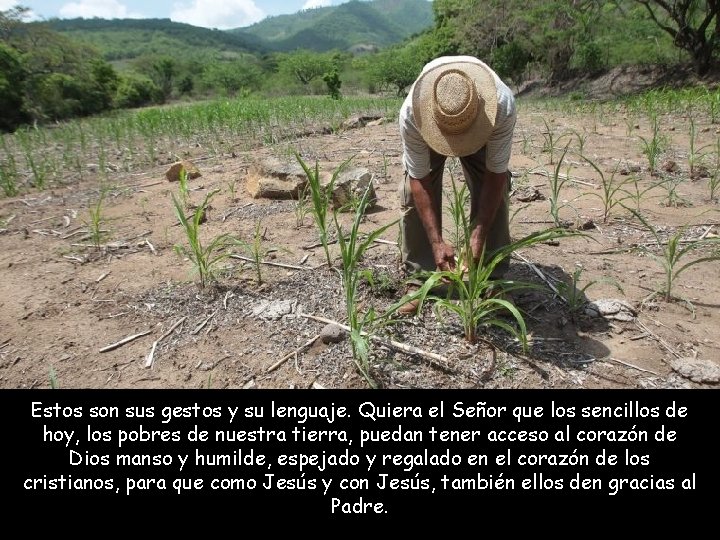 Estos son sus gestos y su lenguaje. Quiera el Señor que los sencillos de