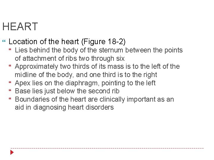 HEART Location of the heart (Figure 18 -2) Lies behind the body of the