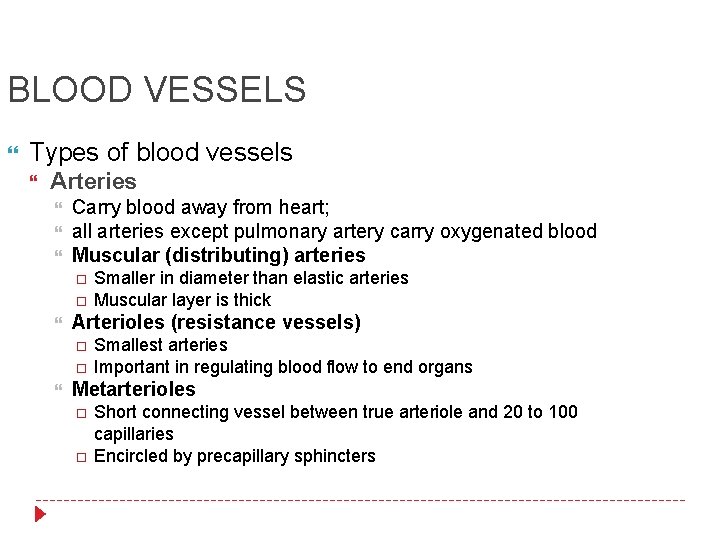 BLOOD VESSELS Types of blood vessels Arteries Carry blood away from heart; all arteries