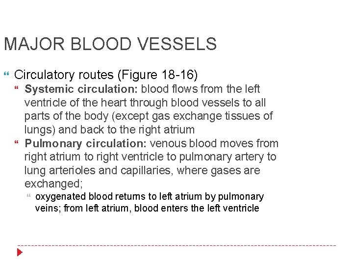 MAJOR BLOOD VESSELS Circulatory routes (Figure 18 -16) Systemic circulation: blood flows from the