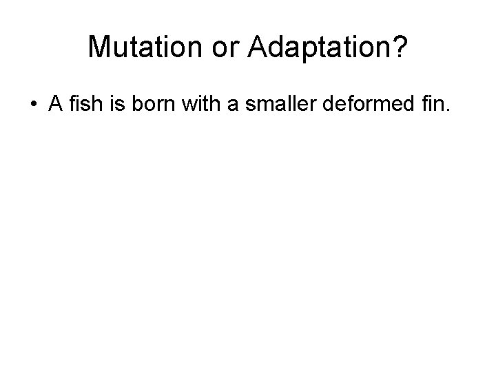 Mutation or Adaptation? • A fish is born with a smaller deformed fin. 