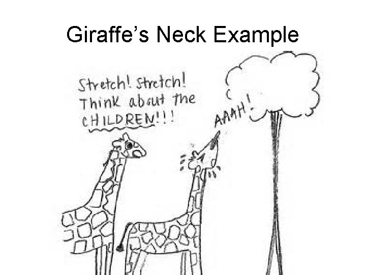 Giraffe’s Neck Example 