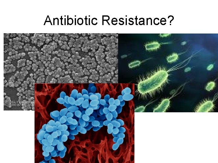 Antibiotic Resistance? 