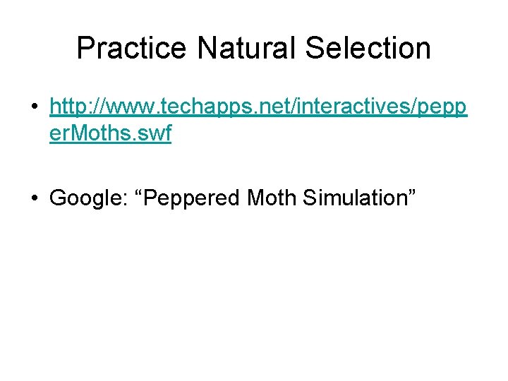 Practice Natural Selection • http: //www. techapps. net/interactives/pepp er. Moths. swf • Google: “Peppered