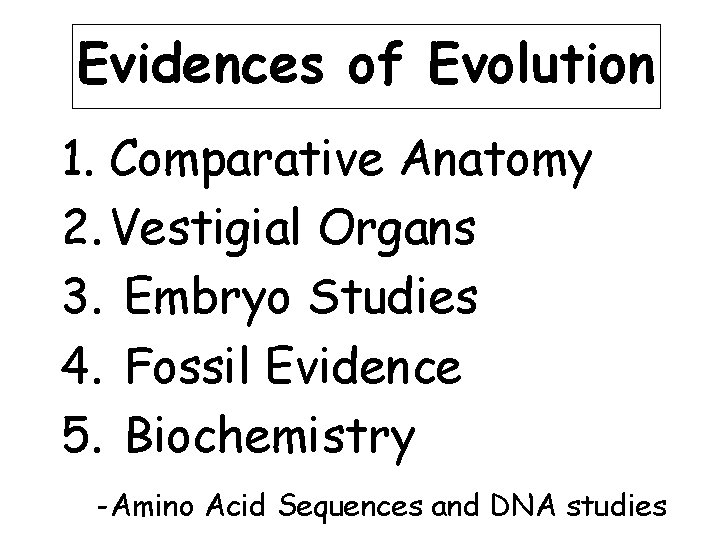 Evidences of Evolution 1. Comparative Anatomy 2. Vestigial Organs 3. Embryo Studies 4. Fossil