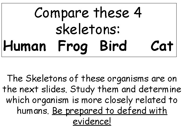 Compare these 4 skeletons: Human Frog Bird Cat The Skeletons of these organisms are