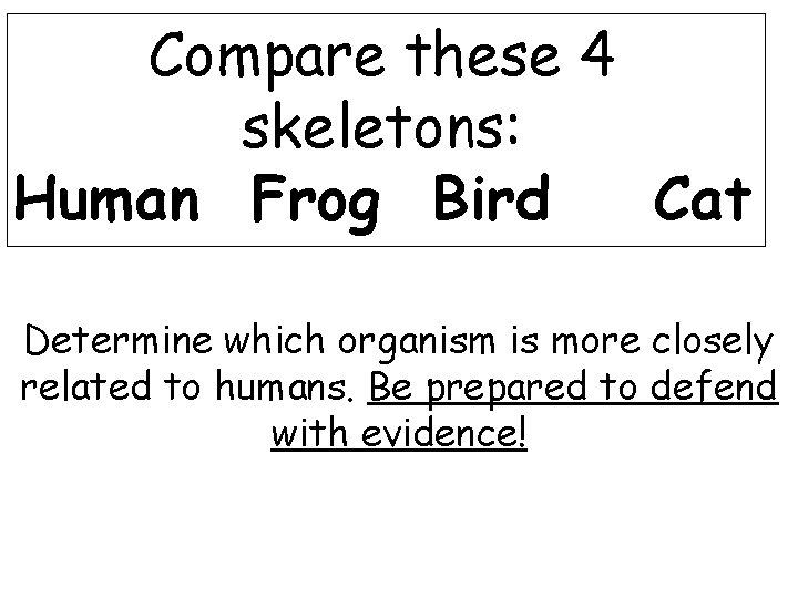 Compare these 4 skeletons: Human Frog Bird Cat Determine which organism is more closely