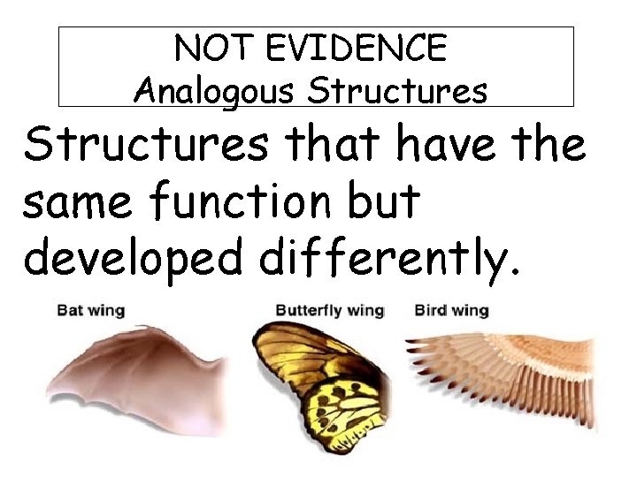 NOT EVIDENCE Analogous Structures that have the same function but developed differently. 