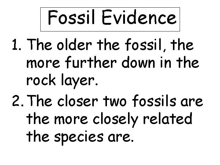 Fossil Evidence 1. The older the fossil, the more further down in the rock